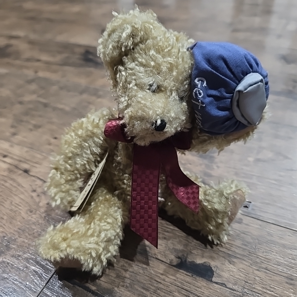 🔥 New Boyds Bear get well soon bear